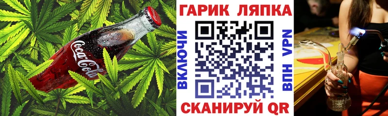 цена наркотик  Можга  Cannafood конопля 