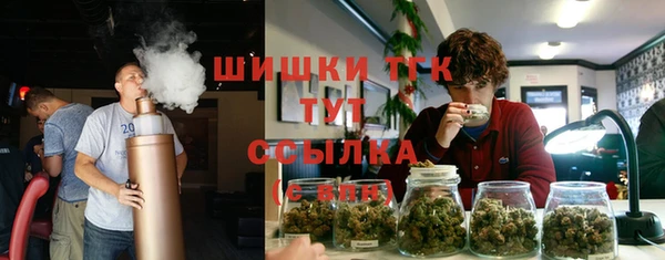 спайс Горняк