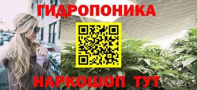 стаф Кандалакша