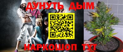 индика Апрелевка