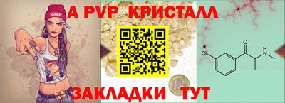 стаф Кандалакша