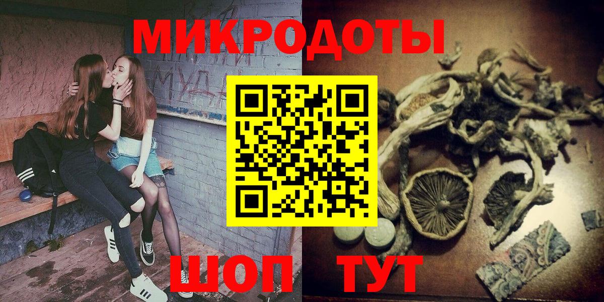 Псилоцибиновые грибы Psilocybine cubensis  Можга 