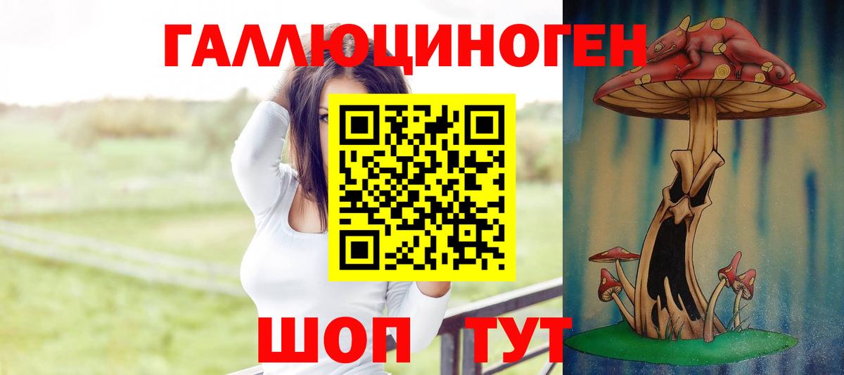 купить наркотик  Вход с VPN  Галлюциногенные грибы Magic Shrooms  Можга  Псилоцибиновые грибы Cubensis 
